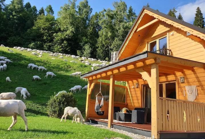 Domek Pod Groniem Mizerna Exterior foto